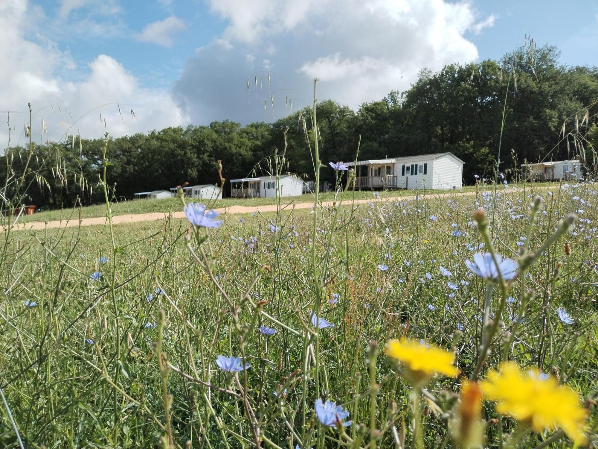 Camping Nature Le Valenty Mobil-Home-Dordogne Panoramique Clim Piscine Soturac Exterior foto
