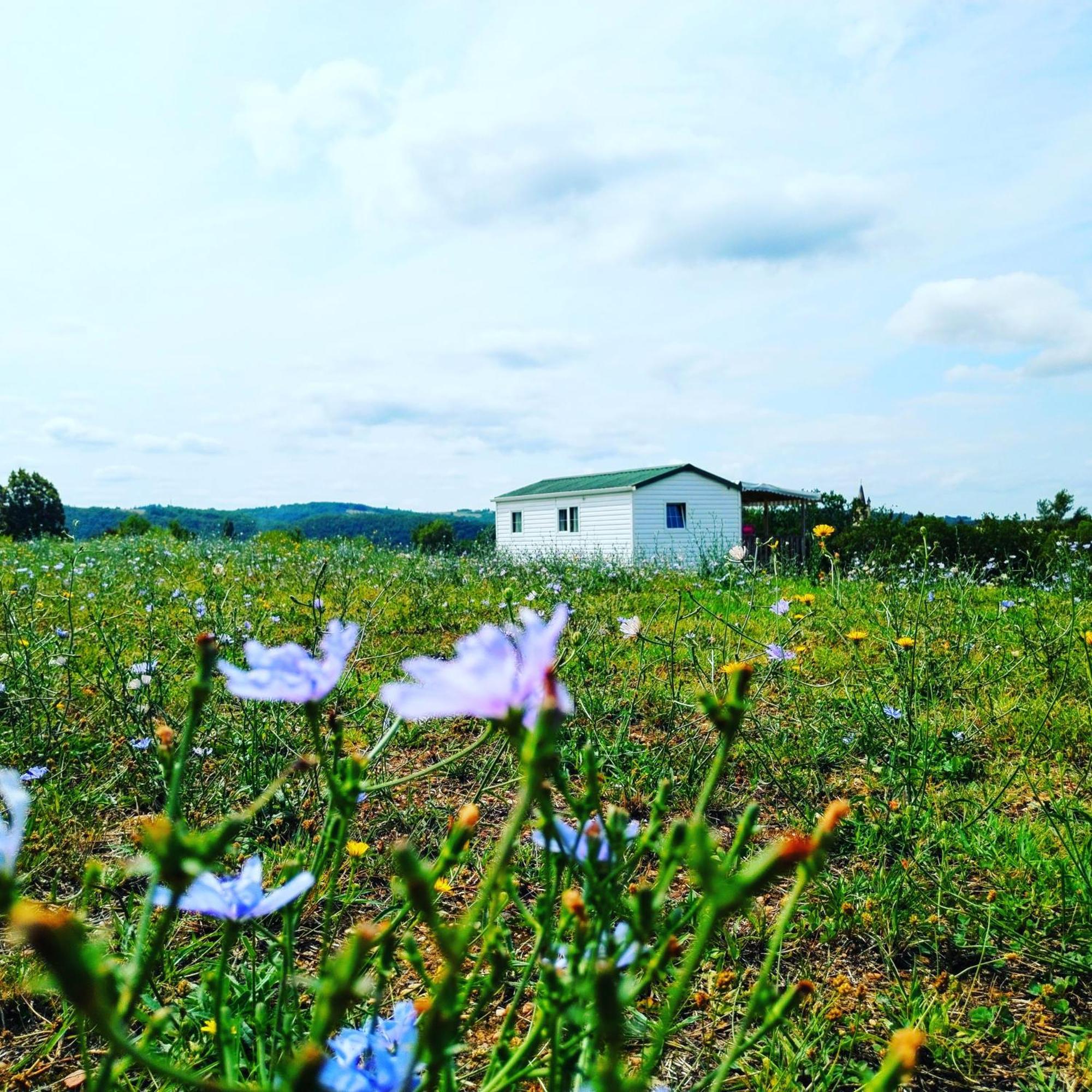 Camping Nature Le Valenty Mobil-Home-Dordogne Panoramique Clim Piscine Soturac Exterior foto
