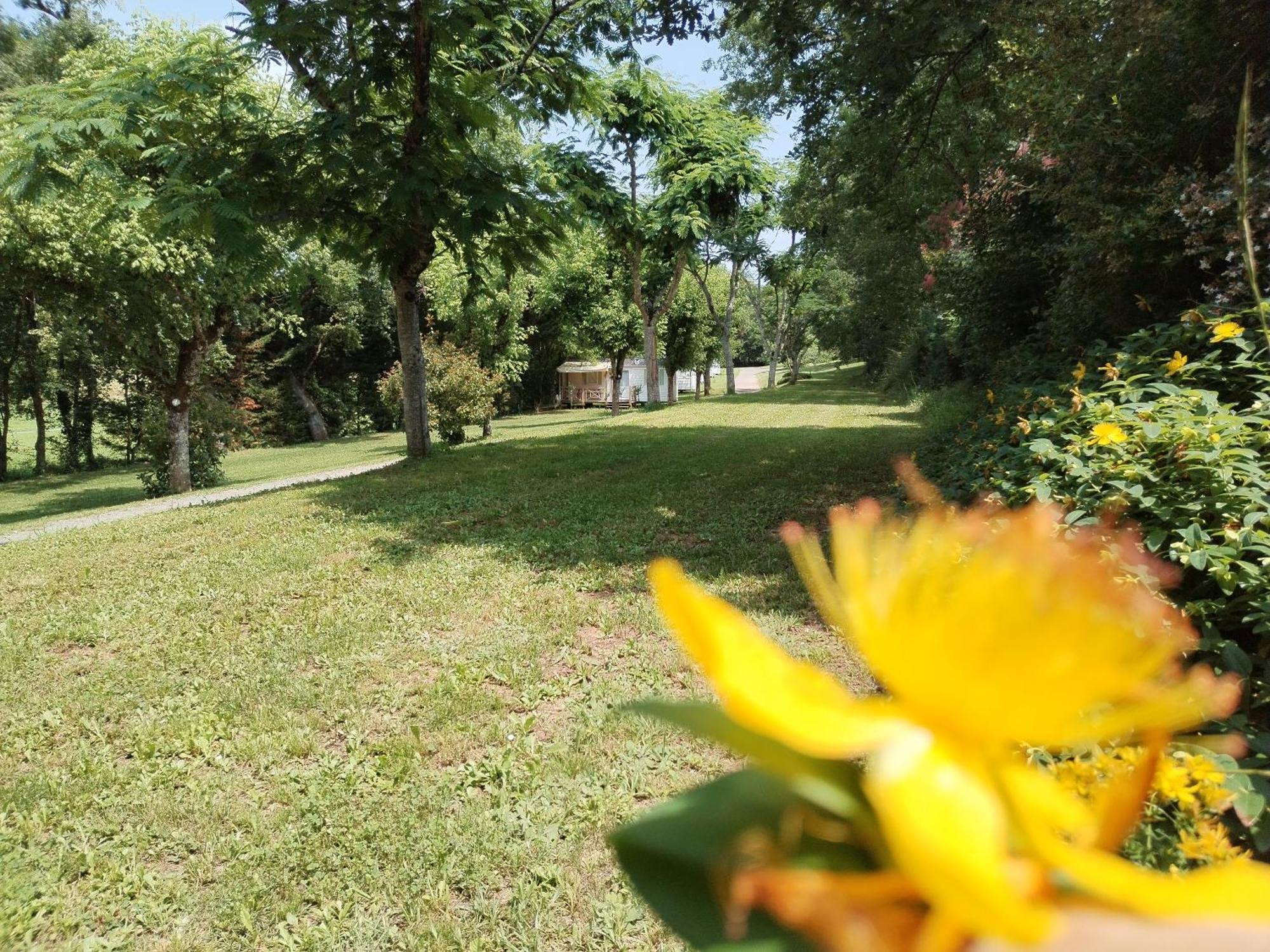 Camping Nature Le Valenty Mobil-Home-Dordogne Panoramique Clim Piscine Soturac Exterior foto