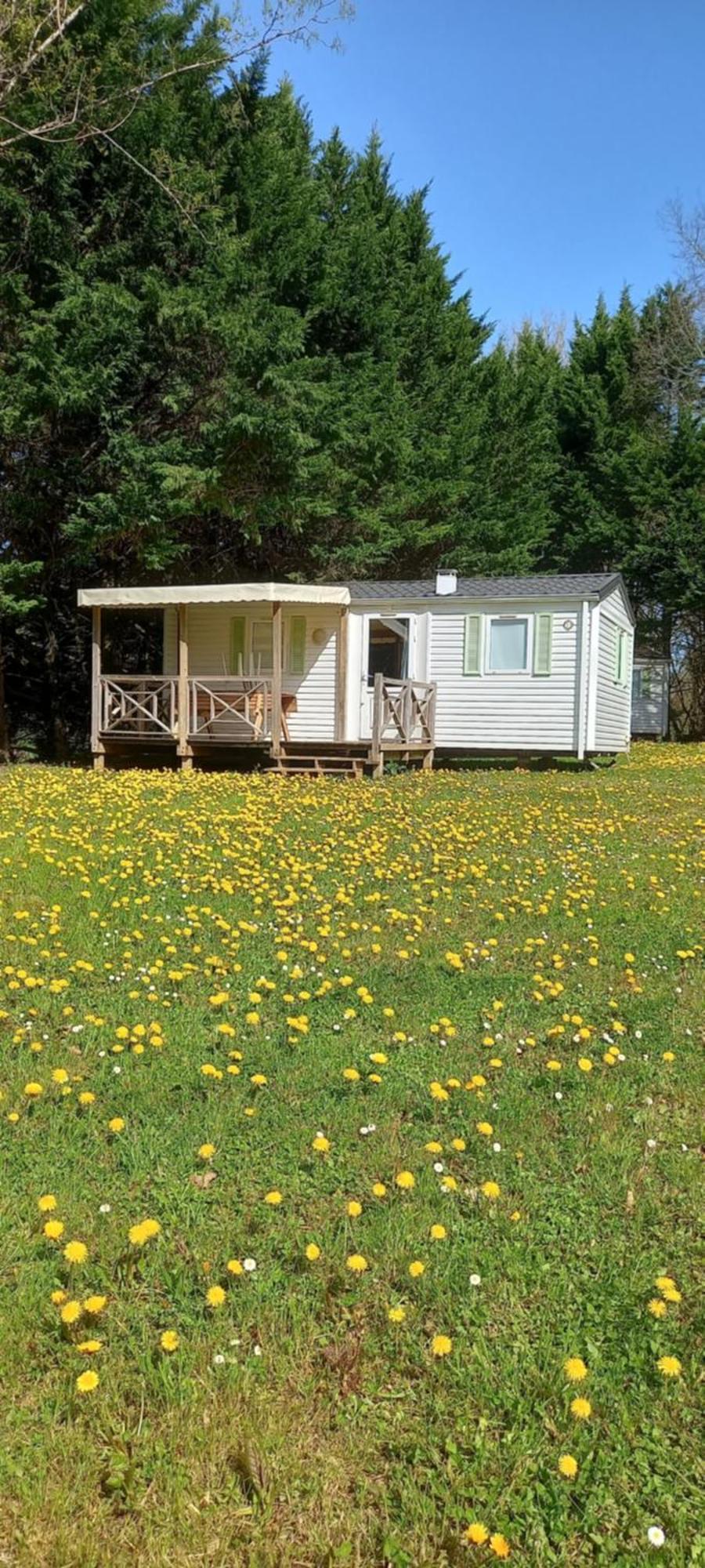 Camping Nature Le Valenty Mobil-Home-Dordogne Panoramique Clim Piscine Soturac Exterior foto